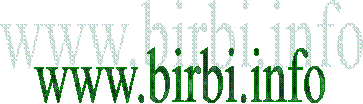 www.birbi.info